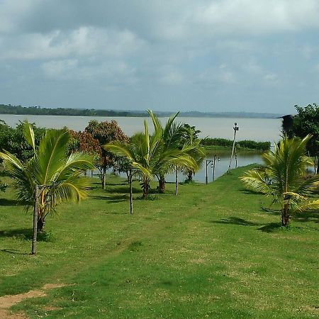 The Peepal Tree, Kabini Begūr Extérieur photo
