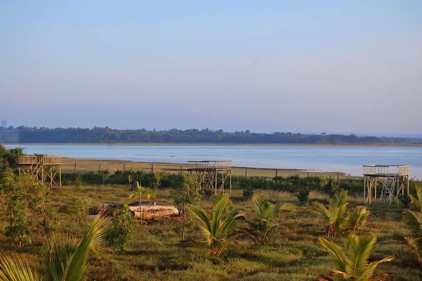 The Peepal Tree, Kabini Begūr Extérieur photo
